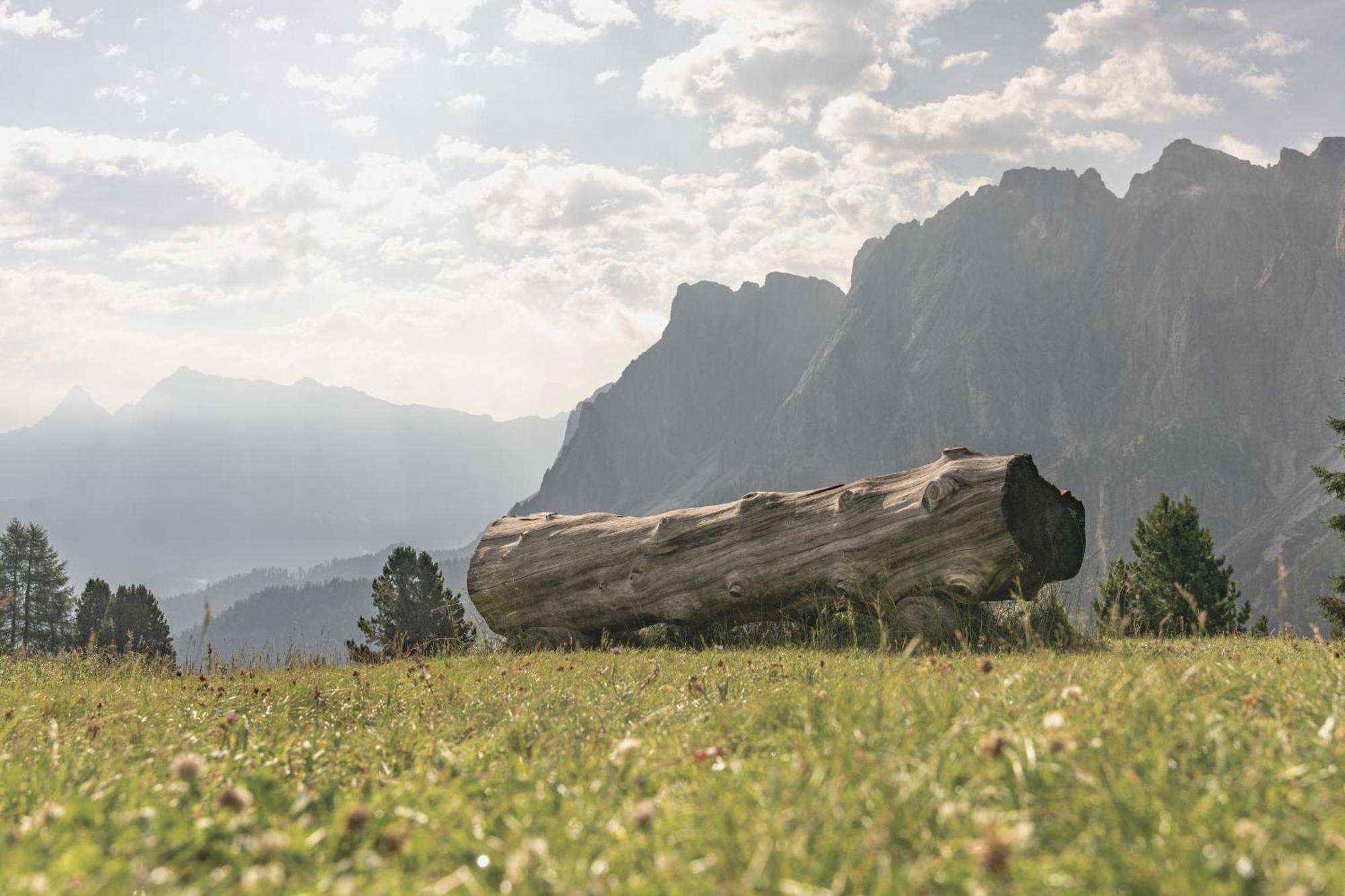 Ciasa Iachin - Dolomites Dream Retreat Lägenhet San Martino in Badia Exteriör bild