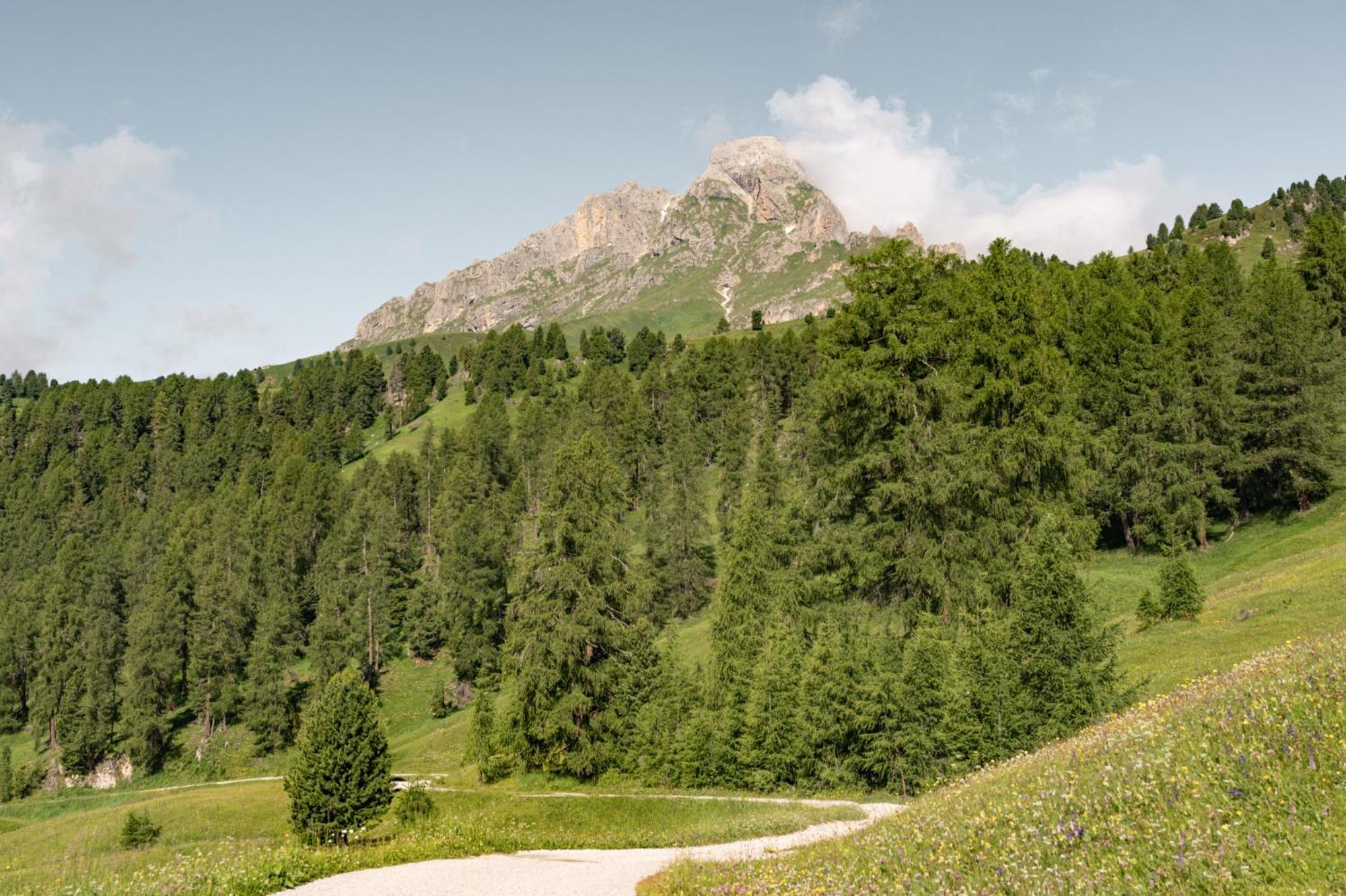 Ciasa Iachin - Dolomites Dream Retreat Lägenhet San Martino in Badia Exteriör bild