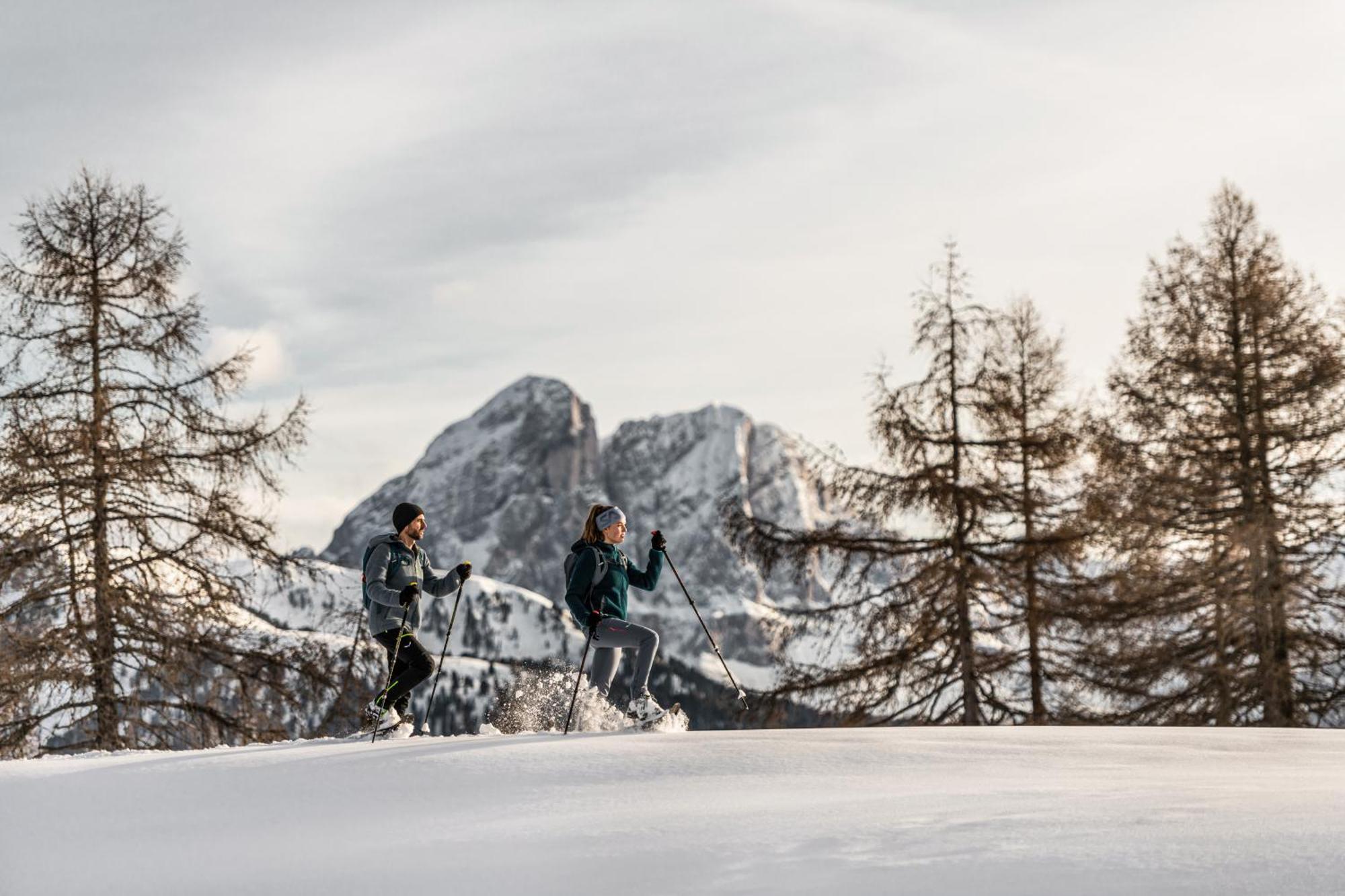 Ciasa Iachin - Dolomites Dream Retreat Lägenhet San Martino in Badia Exteriör bild