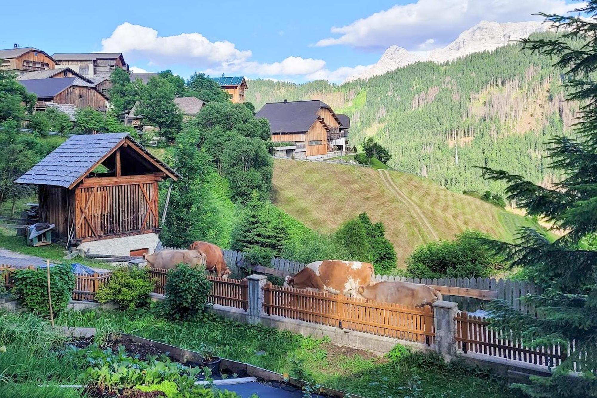 Ciasa Iachin - Dolomites Dream Retreat Lägenhet San Martino in Badia Exteriör bild