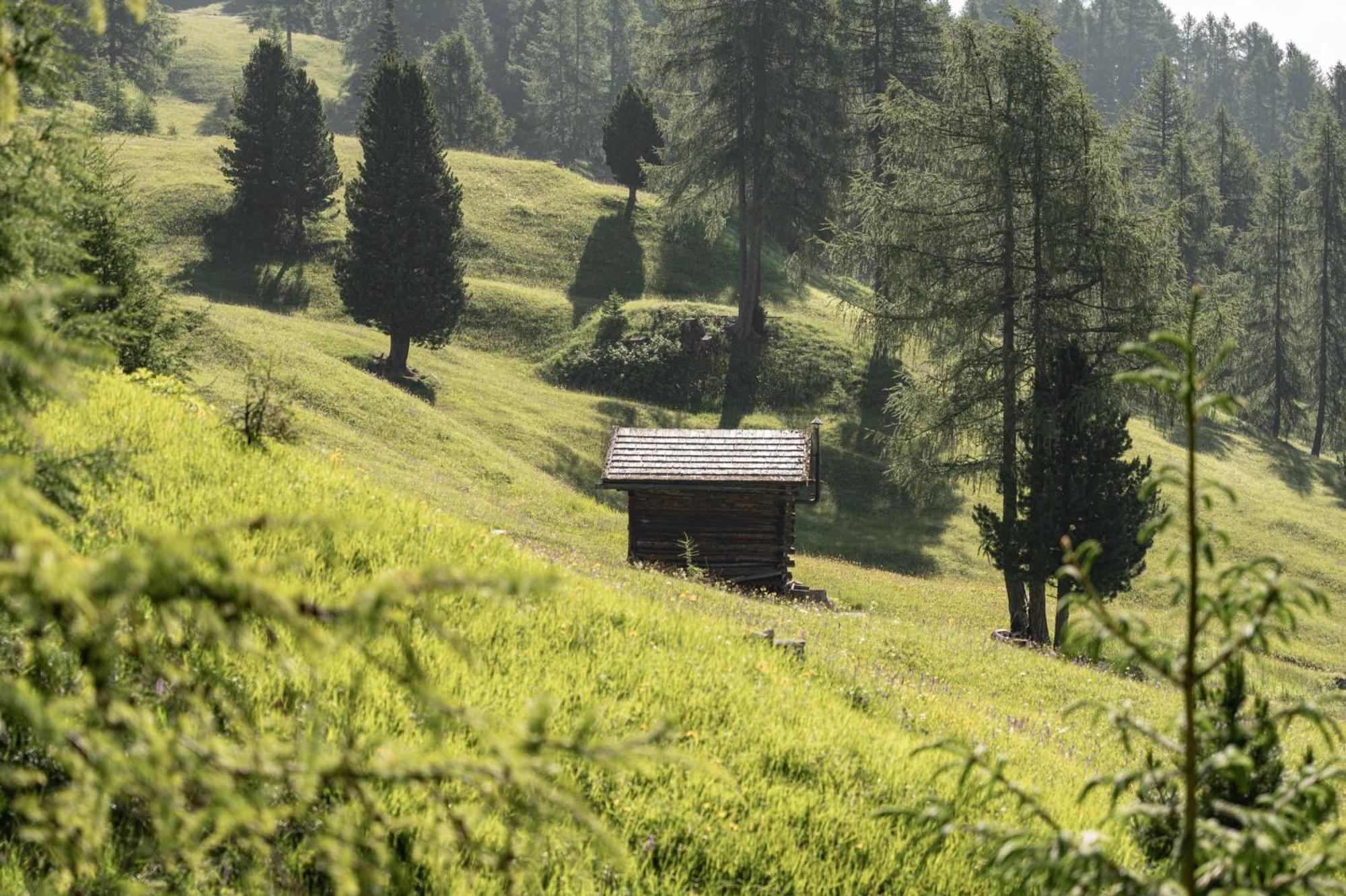 Ciasa Iachin - Dolomites Dream Retreat Lägenhet San Martino in Badia Exteriör bild
