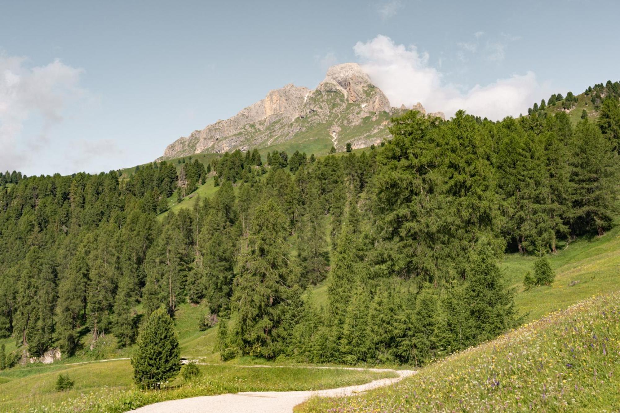 Ciasa Iachin - Dolomites Dream Retreat Lägenhet San Martino in Badia Exteriör bild