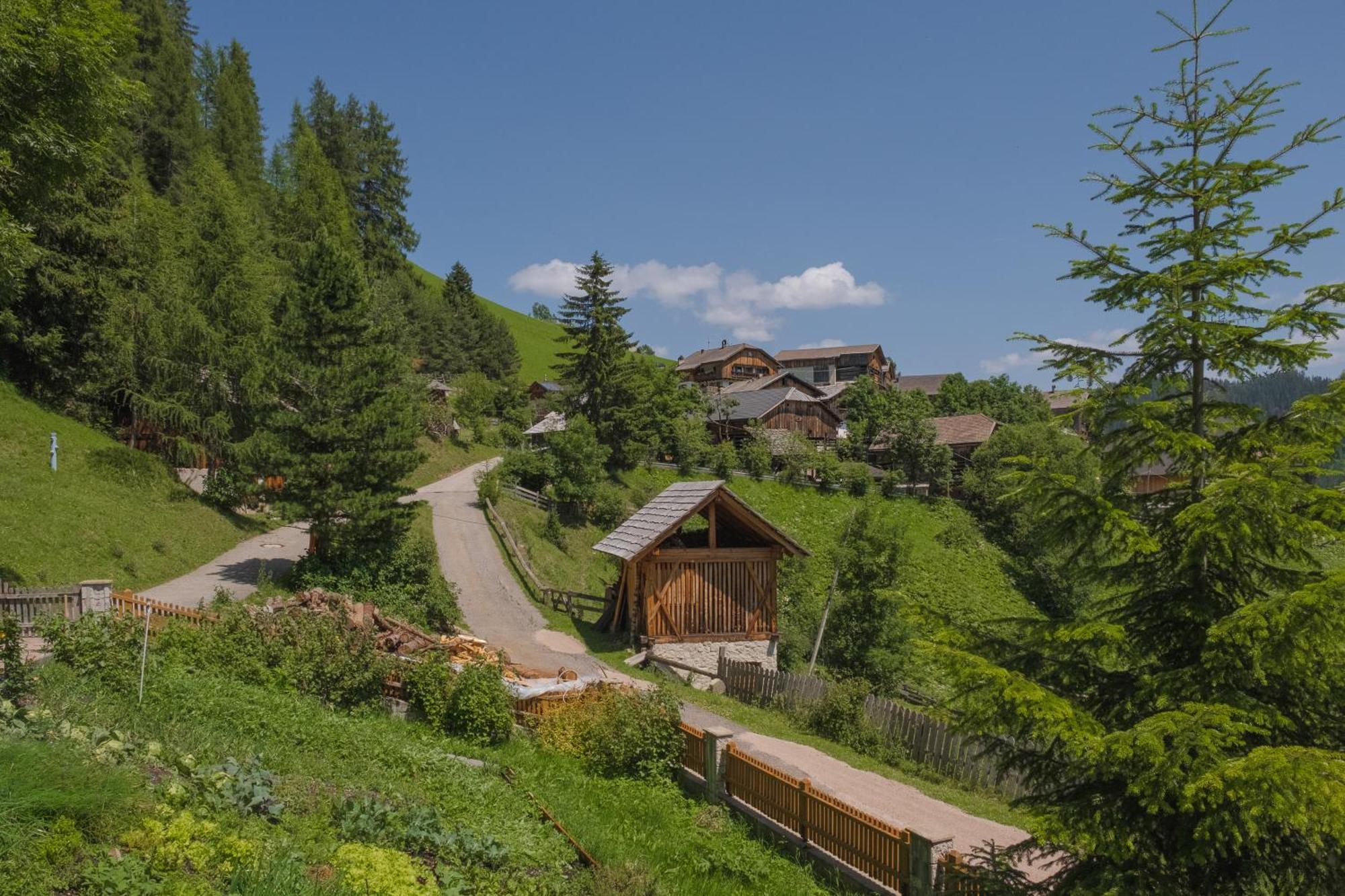 Ciasa Iachin - Dolomites Dream Retreat Lägenhet San Martino in Badia Exteriör bild