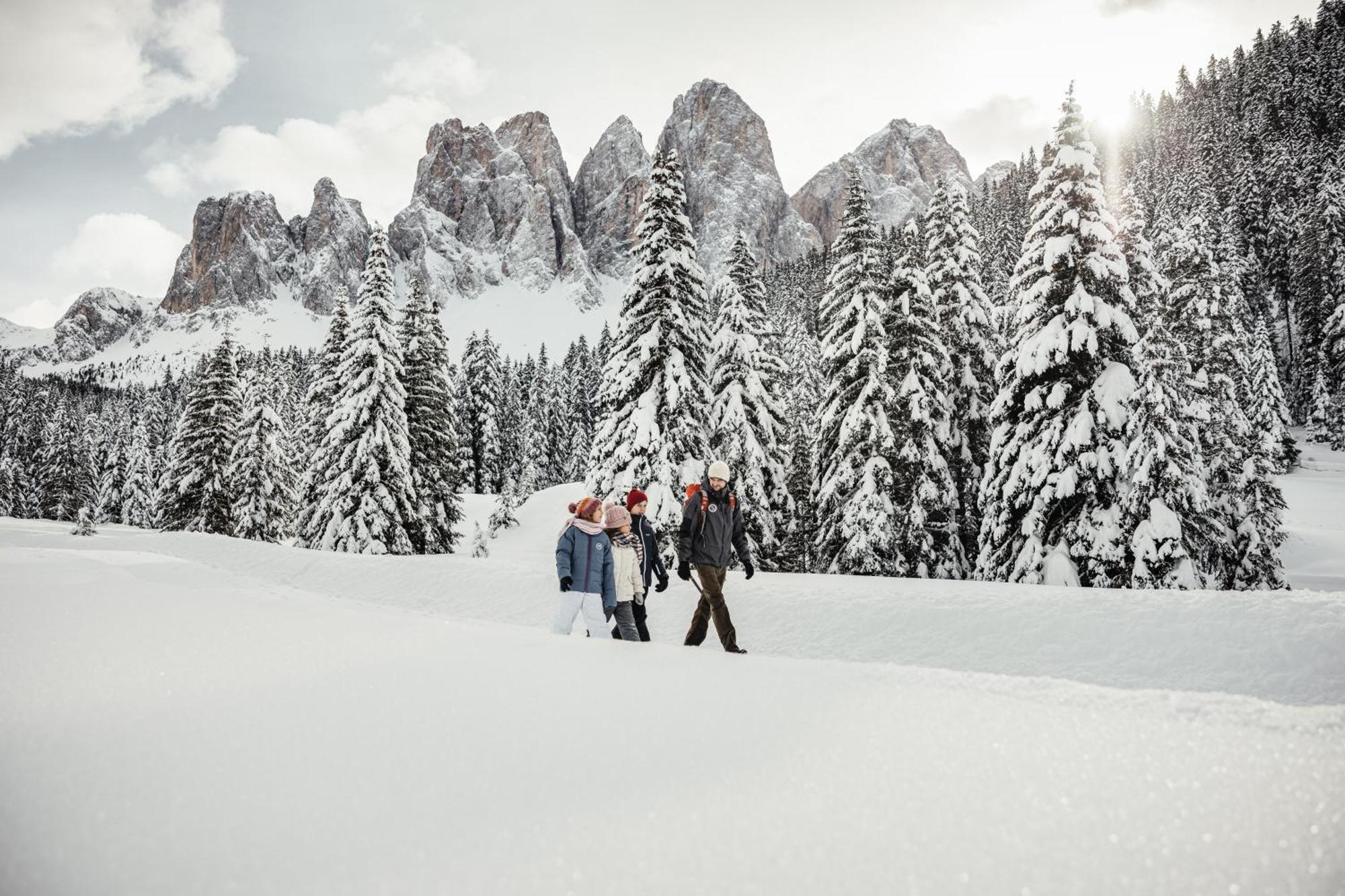 Ciasa Iachin - Dolomites Dream Retreat Lägenhet San Martino in Badia Exteriör bild